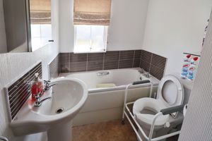 FLAGSHIP PARK- click for photo gallery